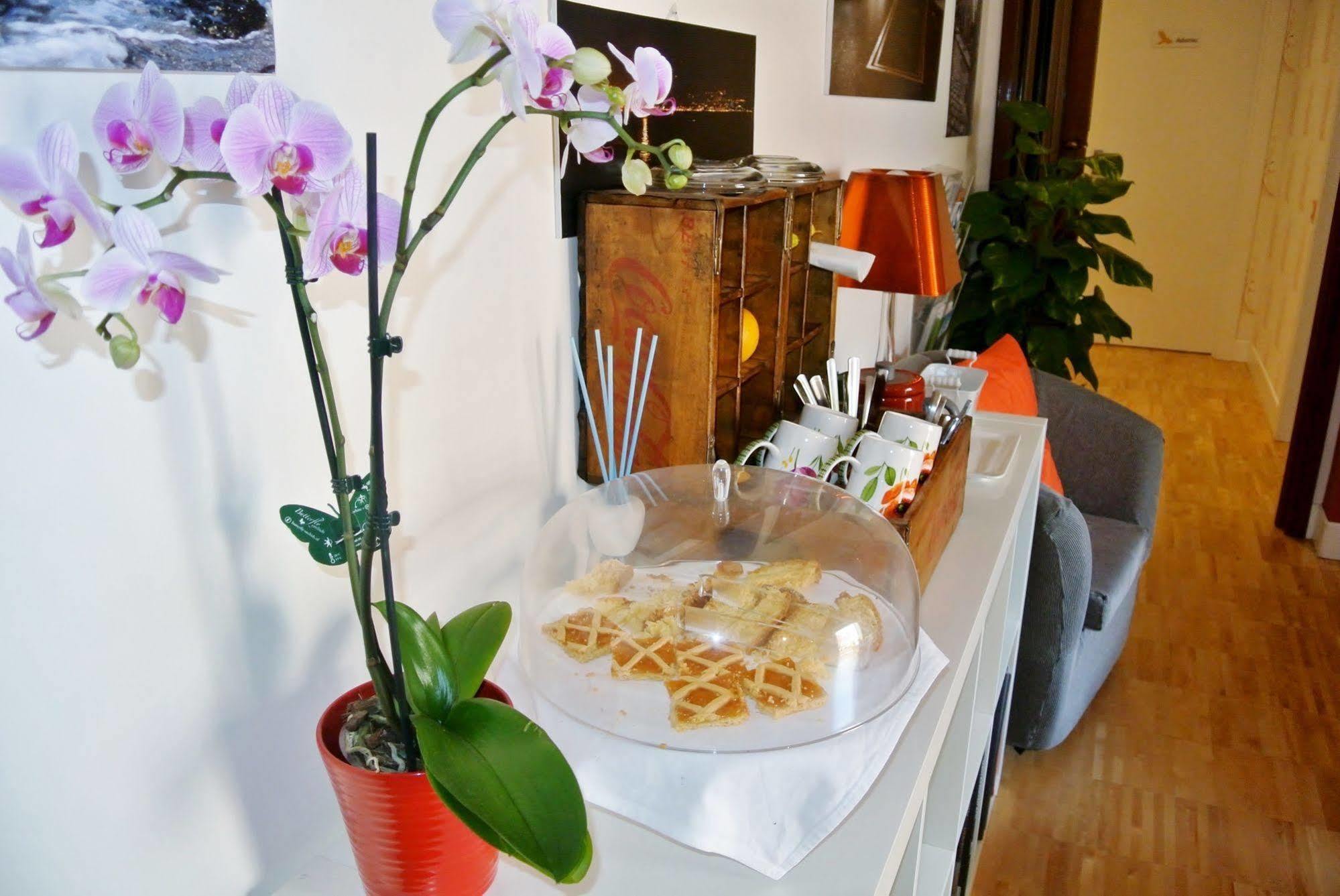 B&B Pellicano Guest House 雷焦卡拉布里亚 外观 照片